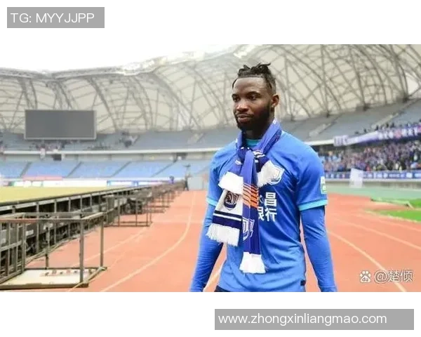 奥古斯丁足球球星名单及其职业生涯成就解析